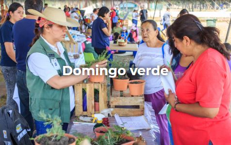 Ilustración "Domingo verde" en Chapultepec, CDMX