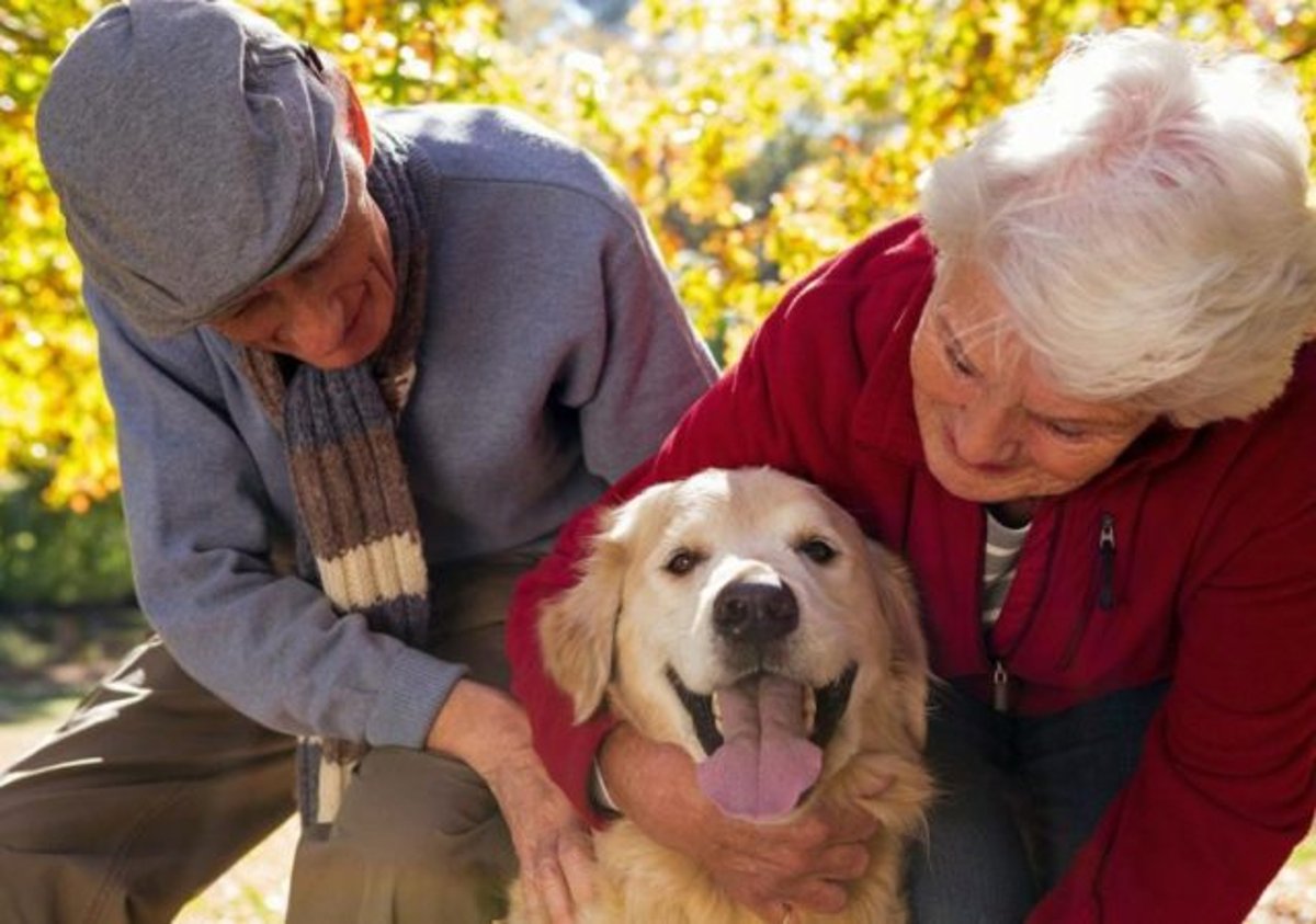 8 BENEFICIOS QUE APORTAN LAS MASCOTAS EN LA TERCERA EDAD